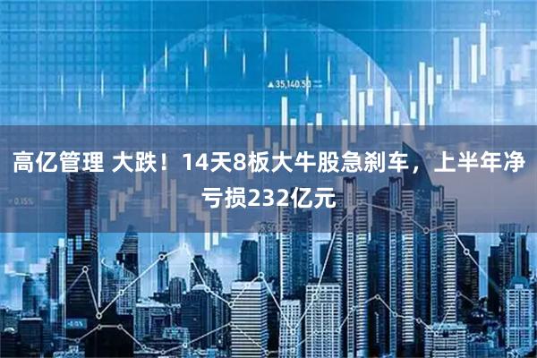 高亿管理 大跌！14天8板大牛股急刹车，上半年净亏损232亿元