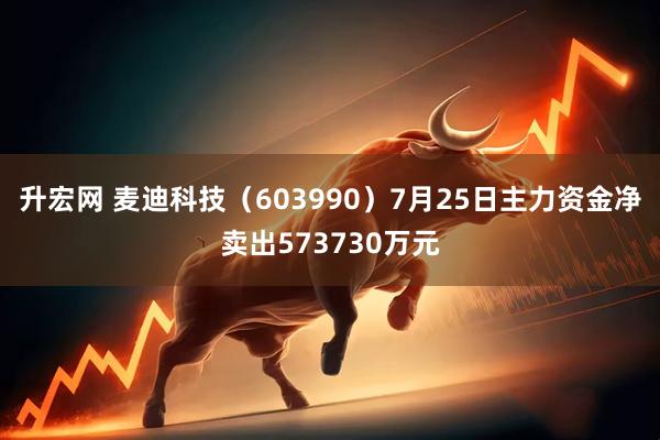 升宏网 麦迪科技（603990）7月25日主力资金净卖出573730万元