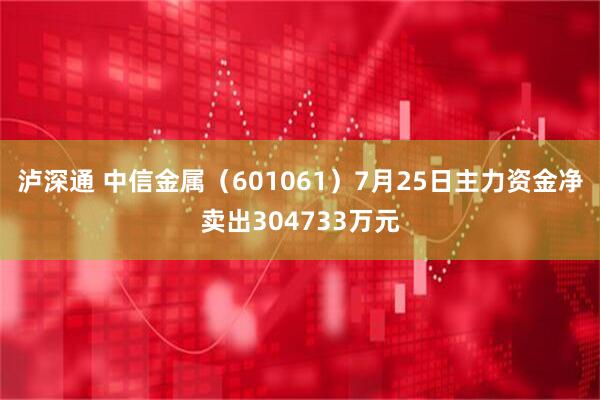 泸深通 中信金属（601061）7月25日主力资金净卖出304733万元