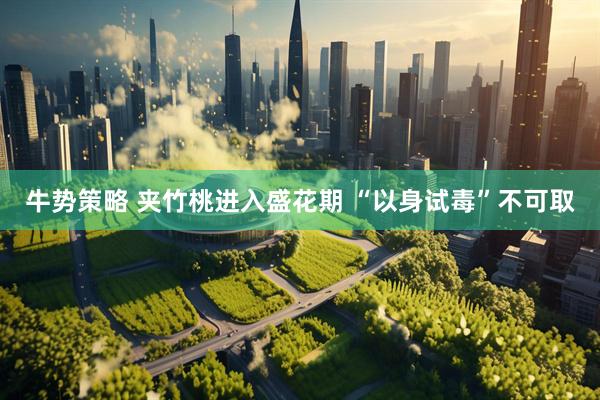 牛势策略 夹竹桃进入盛花期 “以身试毒”不可取
