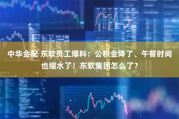 中华金配 东软员工爆料：公积金降了、午餐时间也缩水了！东软集团怎么了？